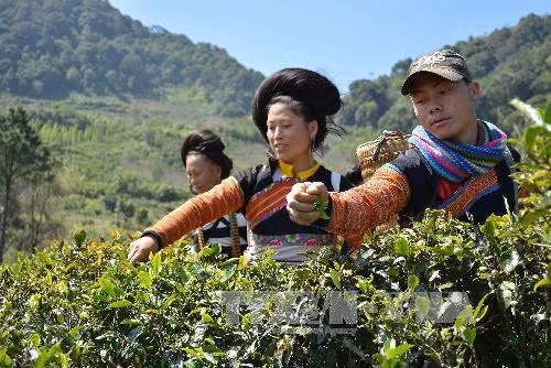 Khai thác tiềm năng – kết nối đầu tư vùng Tây Bắc ảnh 1