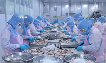 Tăng tốc hoàn thành mục tiêu xuất khẩu nông lâm thủy sản