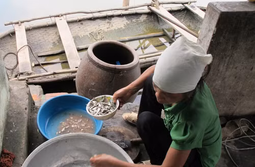 'Ốc đảo' rừng xanh mòn mỏi chờ đợi một cây cầu ảnh 7