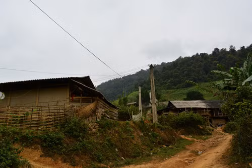 Bảo vệ loài sói đỏ trước nguy cơ tuyệt chủng ảnh 1