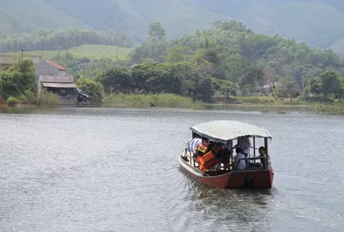'Ốc đảo' rừng xanh mòn mỏi chờ đợi một cây cầu ảnh 9