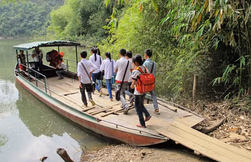 'Ốc đảo' rừng xanh mòn mỏi chờ đợi một cây cầu ảnh 1