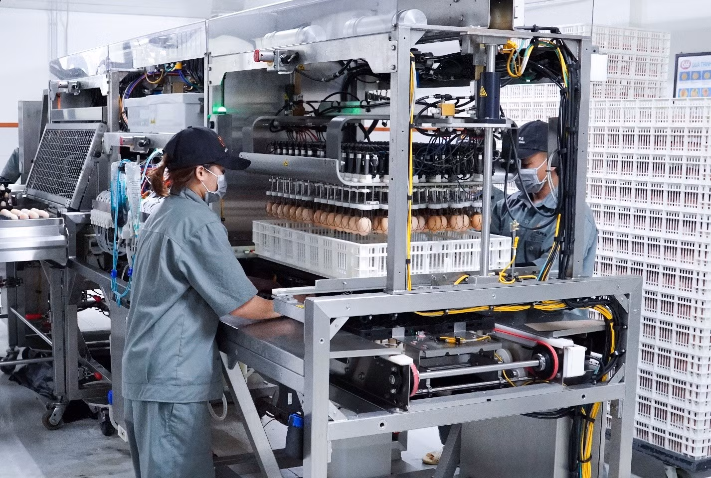 Japfa Việt Nam đẩy mạnh ứng dụng các nền tảng số trong quản lý hoạt động chăn nuôi, hỗ trợ theo dõi dữ liệu theo thời gian thực, nâng cao hiệu quả giám sát sức khỏe vật nuôi và kiểm soát an toàn sinh học.