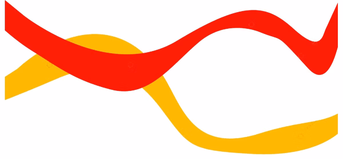 Thể thao Việt Nam sẵn sàng ghi dấu tại Olympic Tokyo ảnh 8