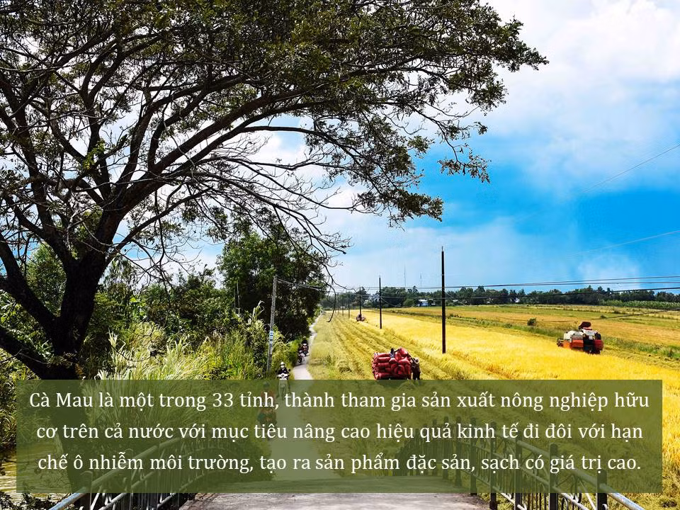 Đời sống nhân dân cải thiện ảnh 39