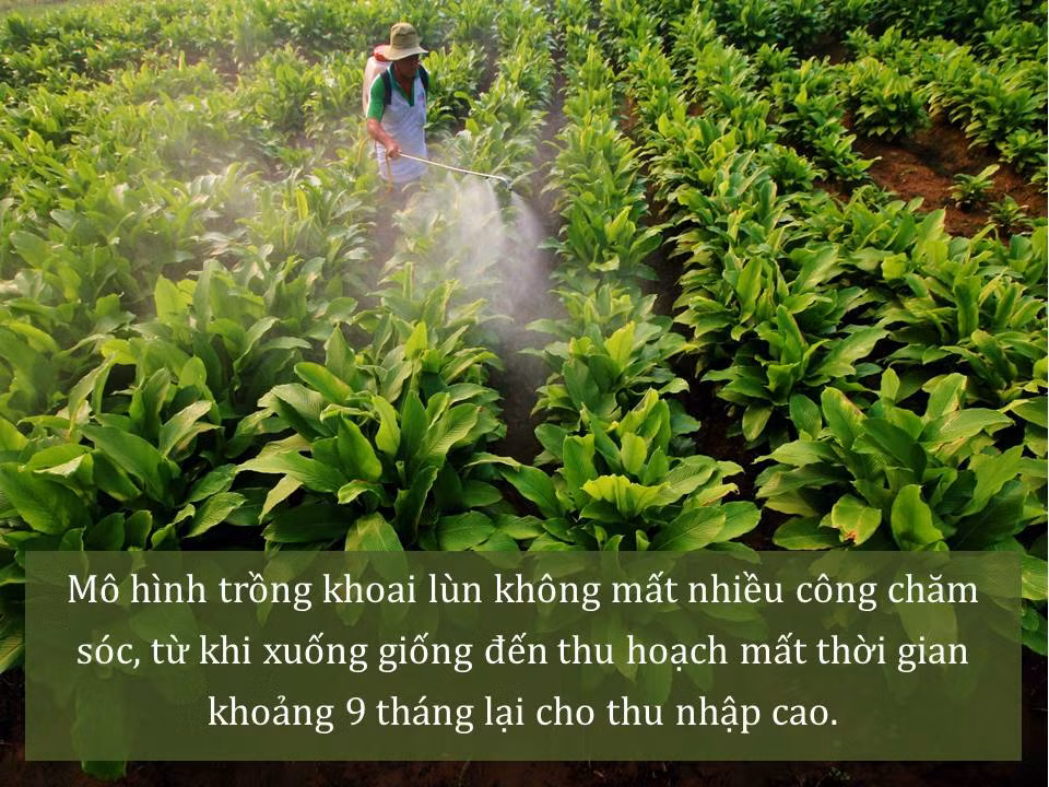 Đời sống nhân dân cải thiện ảnh 35