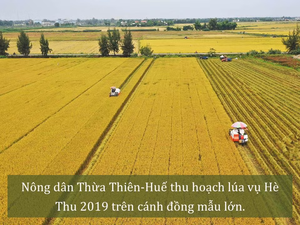 Đời sống nhân dân cải thiện ảnh 41