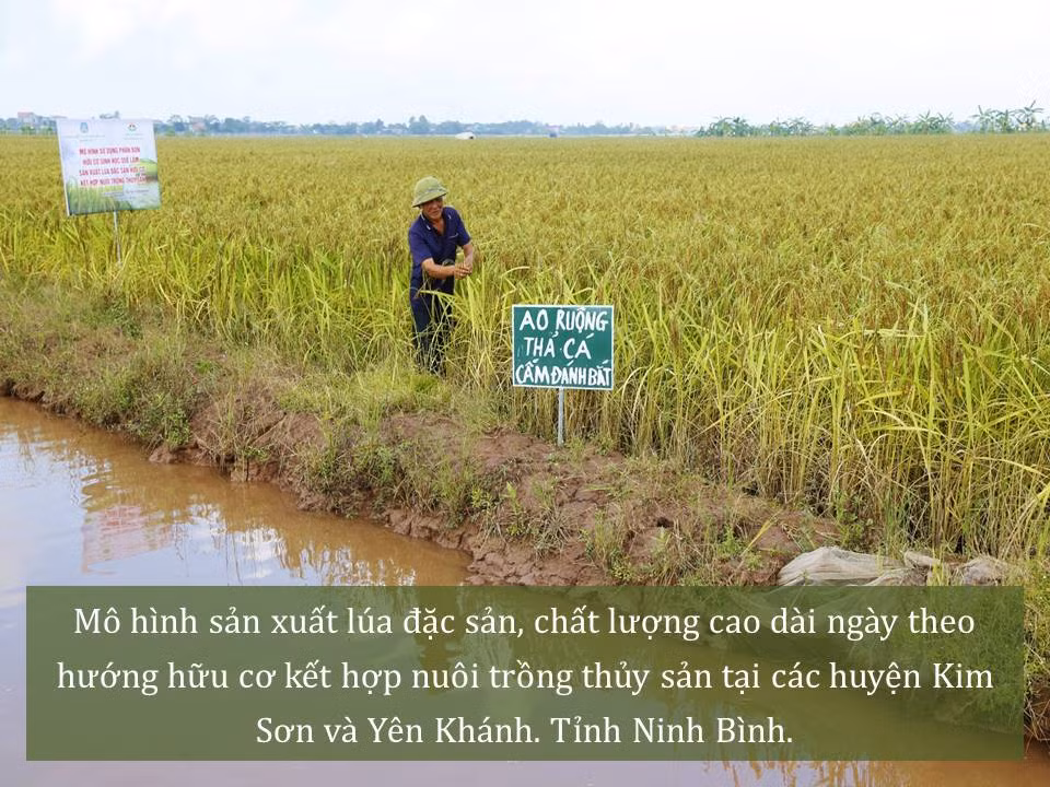 Đời sống nhân dân cải thiện ảnh 24