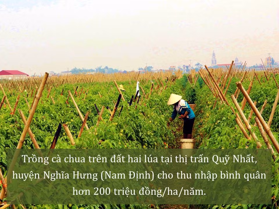 Đời sống nhân dân cải thiện ảnh 33