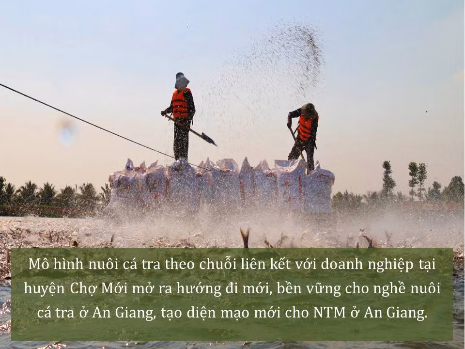 Đời sống nhân dân cải thiện ảnh 31