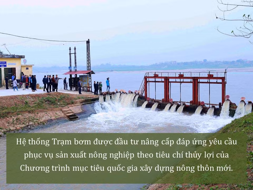 Đời sống nhân dân cải thiện ảnh 22