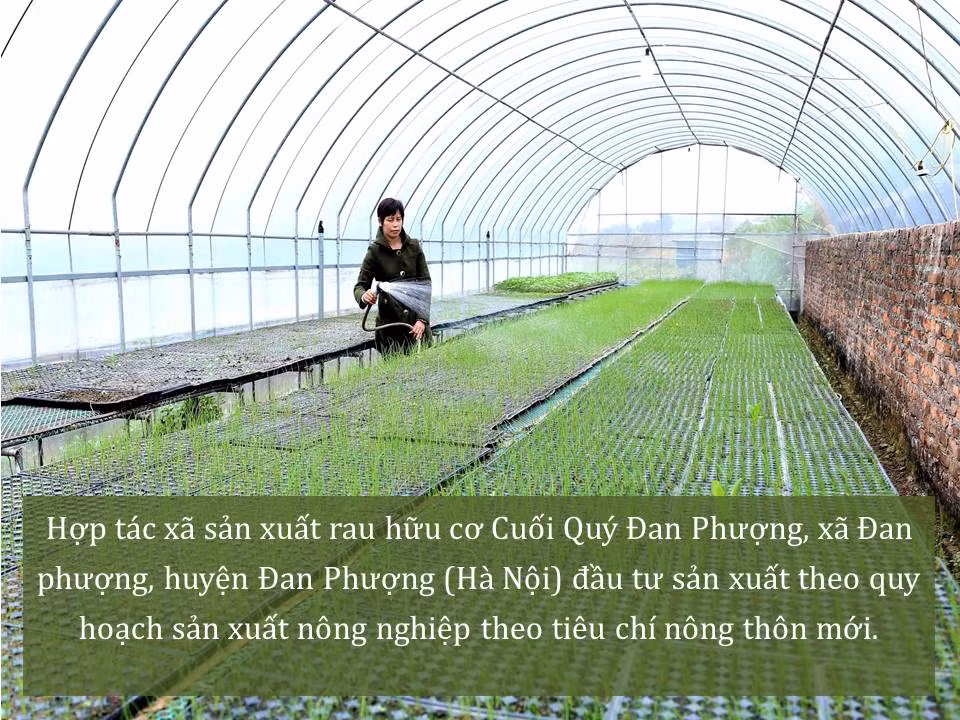 Đời sống nhân dân cải thiện ảnh 26