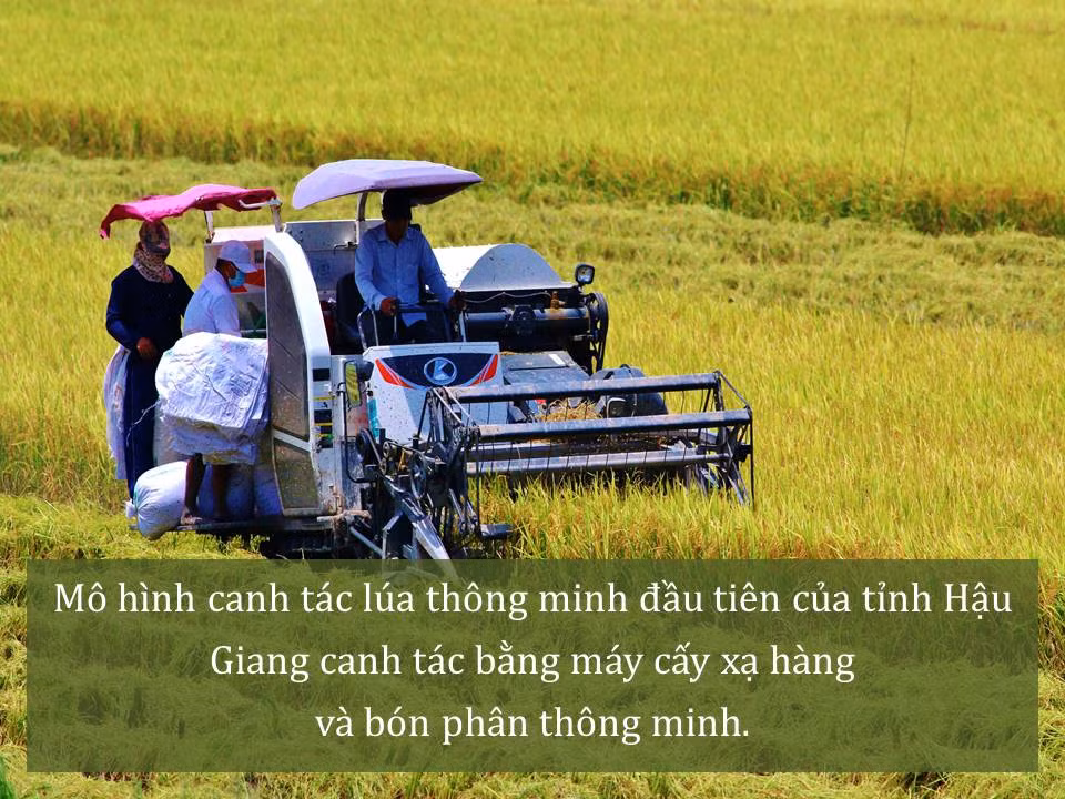 Đời sống nhân dân cải thiện ảnh 19