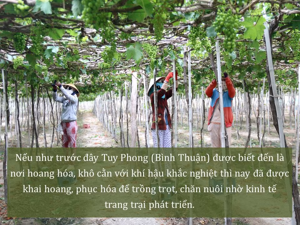 Đời sống nhân dân cải thiện ảnh 42