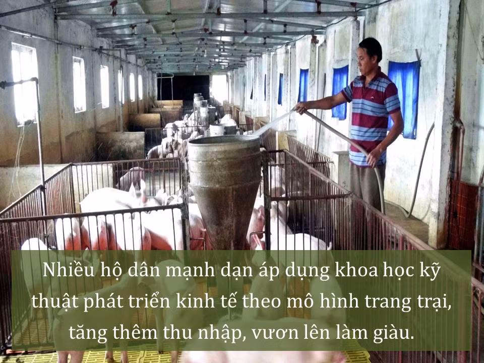 Đời sống nhân dân cải thiện ảnh 45