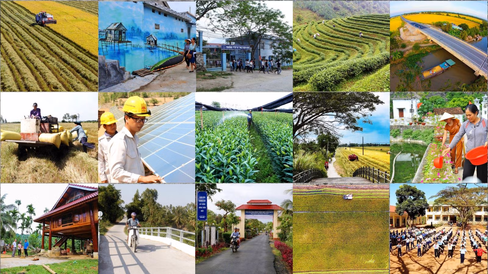 Đời sống nhân dân cải thiện ảnh 18