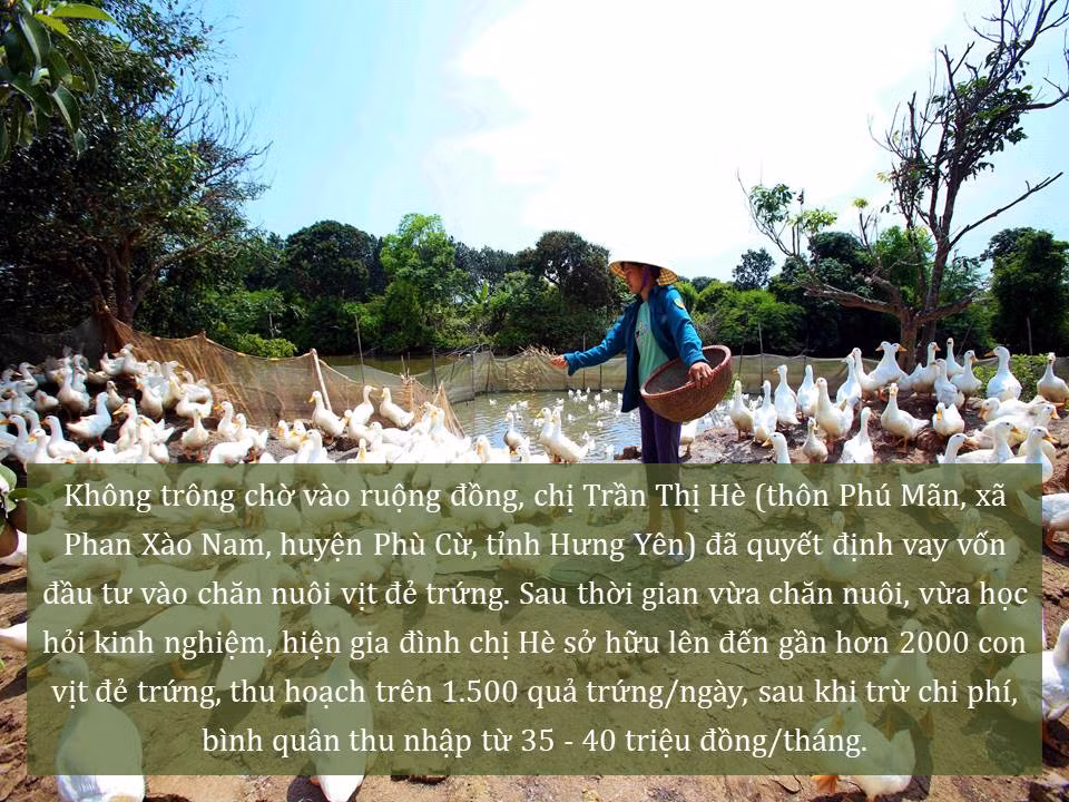 Đời sống nhân dân cải thiện ảnh 30