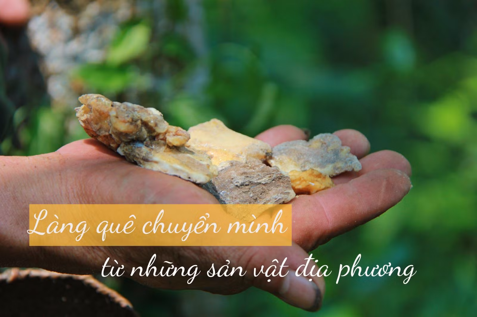 Đời sống nhân dân cải thiện ảnh 15