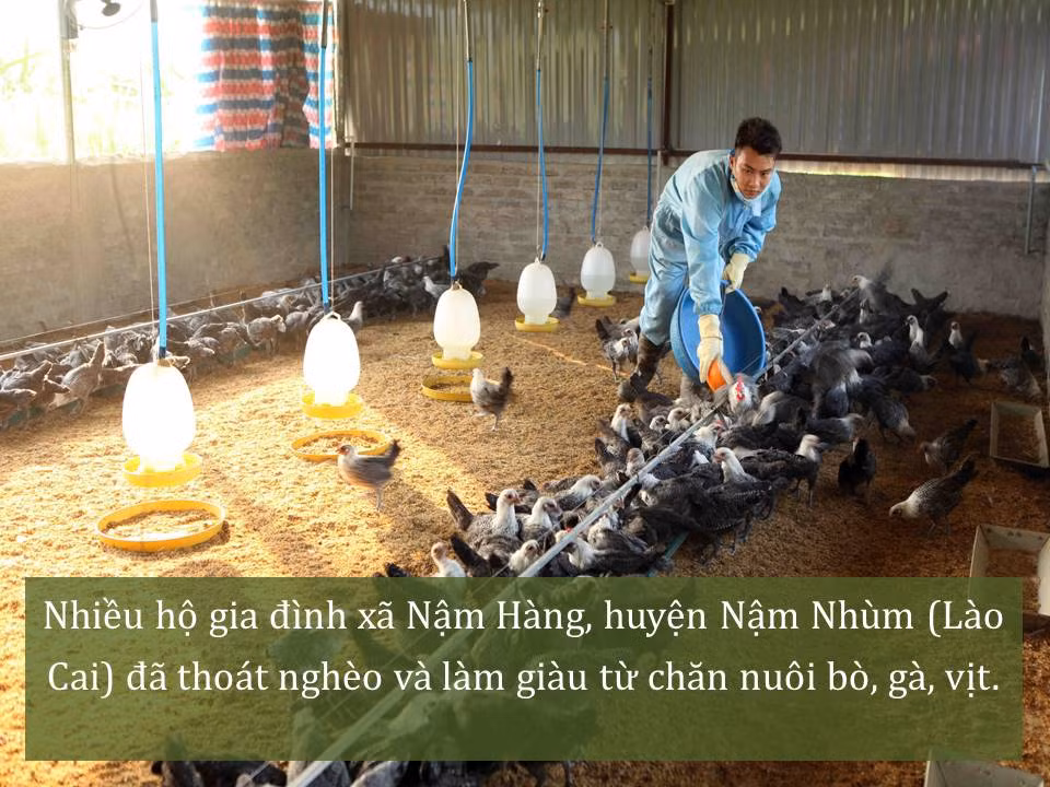Đời sống nhân dân cải thiện ảnh 38
