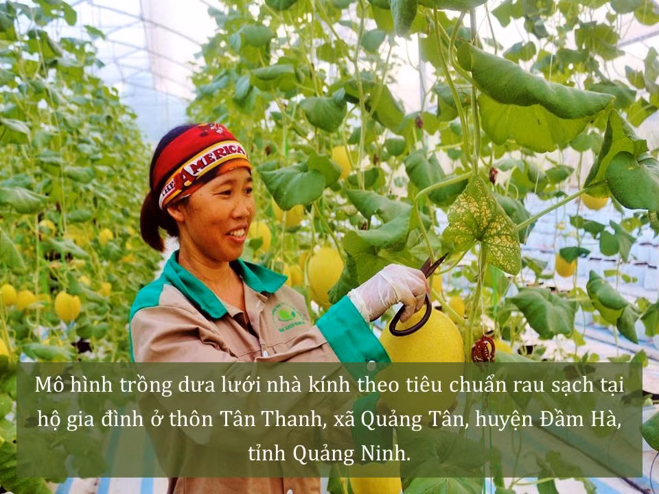 Đời sống nhân dân cải thiện ảnh 29