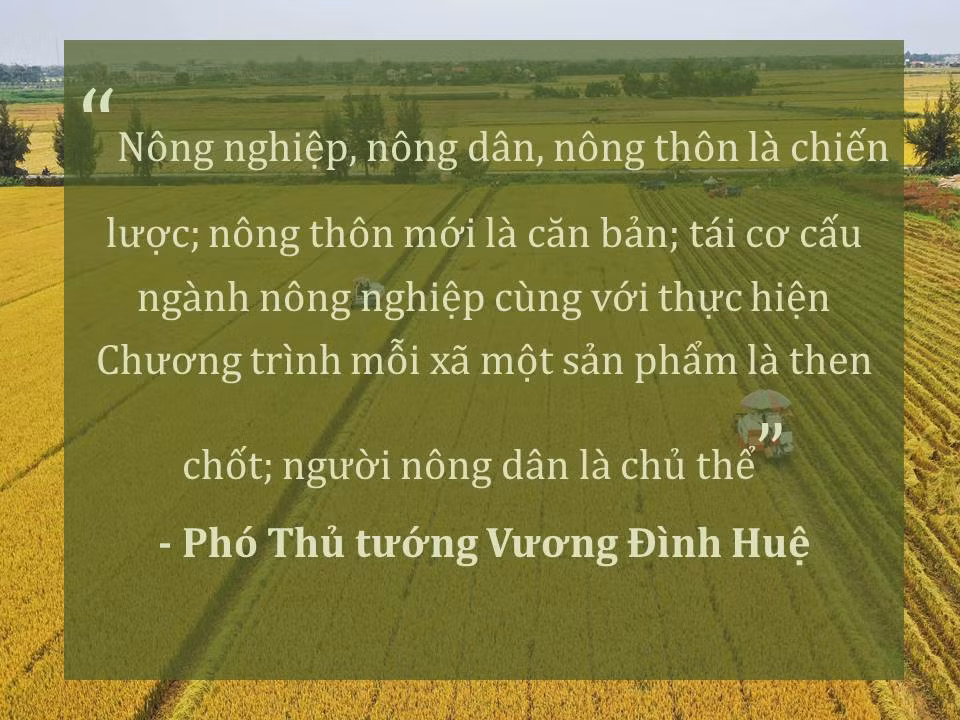 Đời sống nhân dân cải thiện ảnh 9