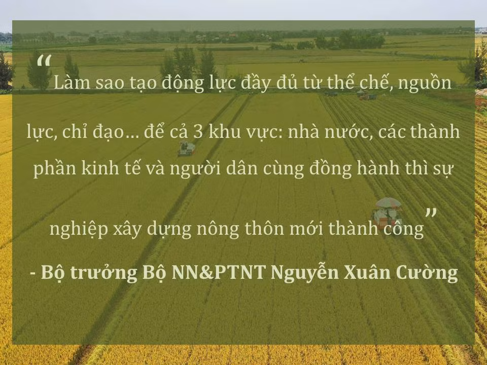 Đời sống nhân dân cải thiện ảnh 11