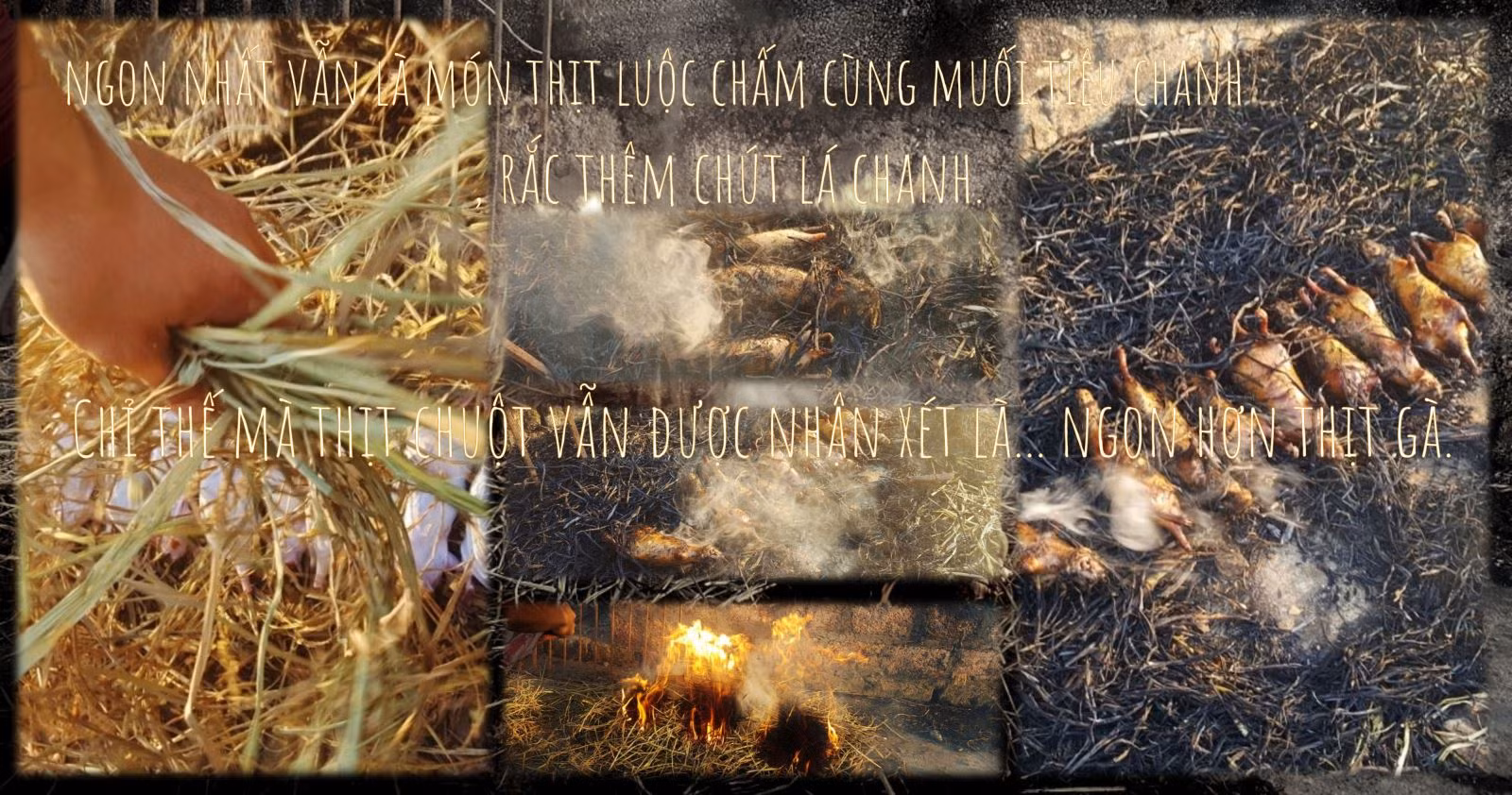 Nghệ thuật săn bắt chuột đồng ảnh 10