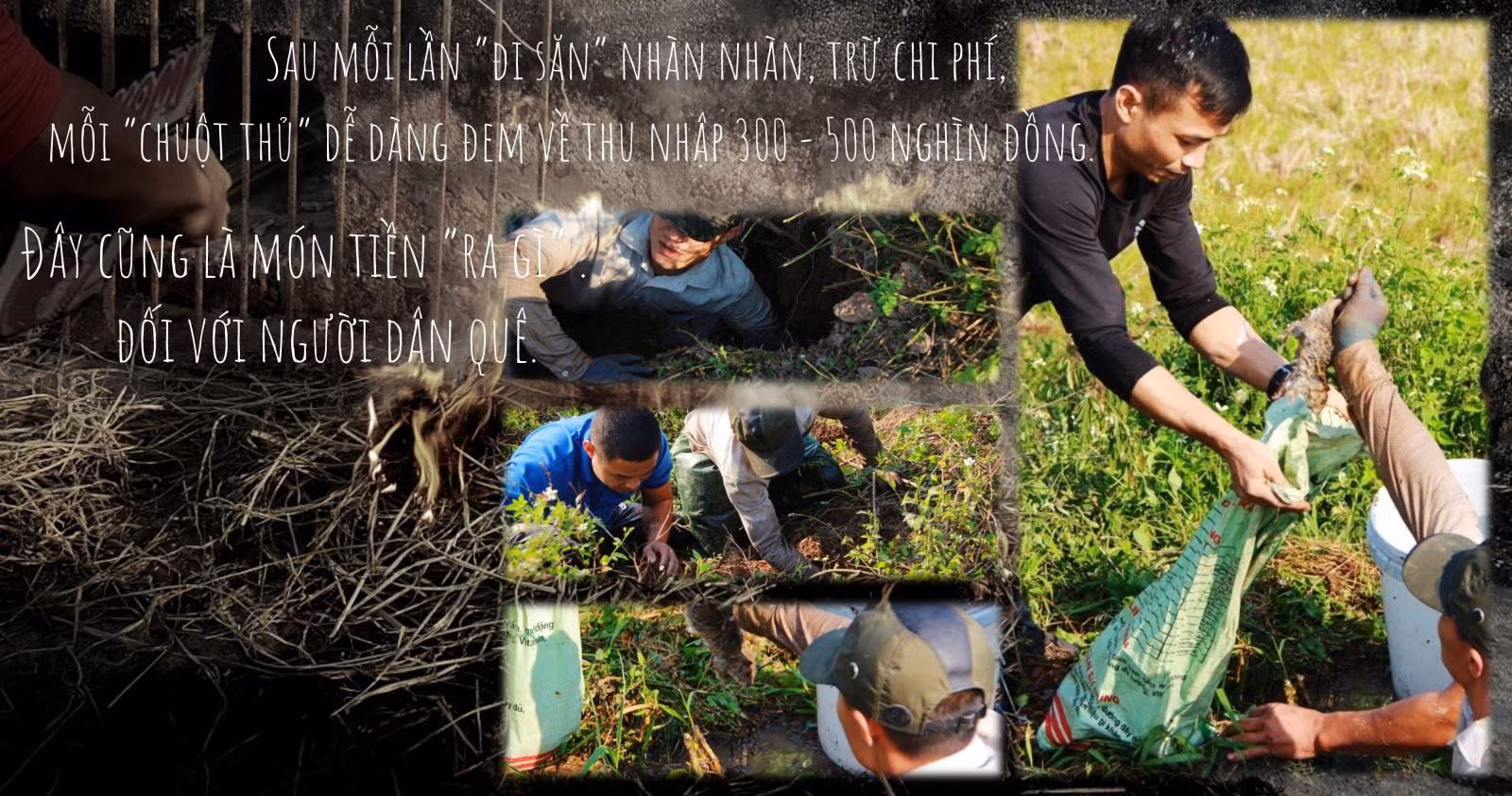 Nghệ thuật săn bắt chuột đồng ảnh 6