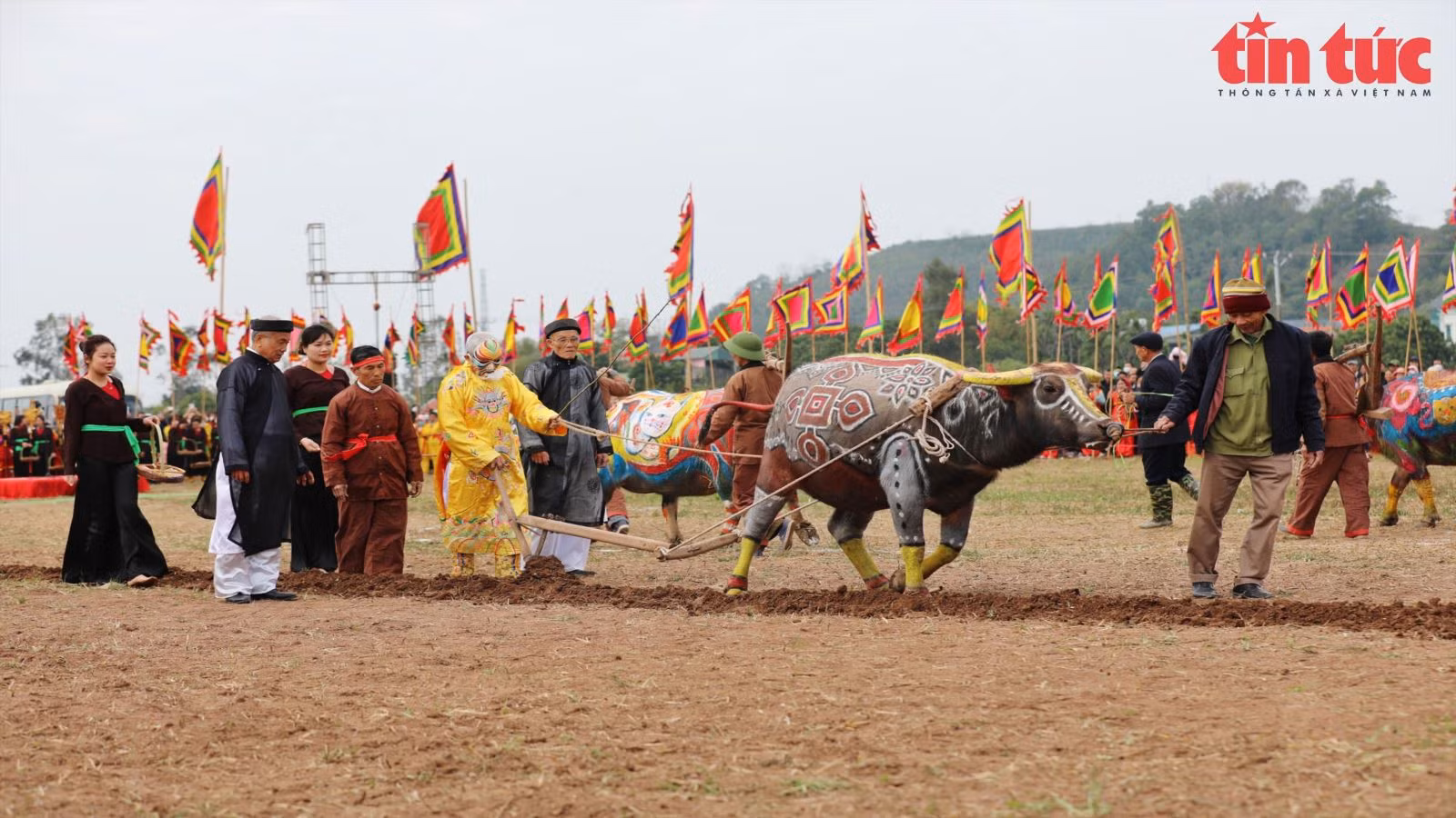 Chú thích ảnh