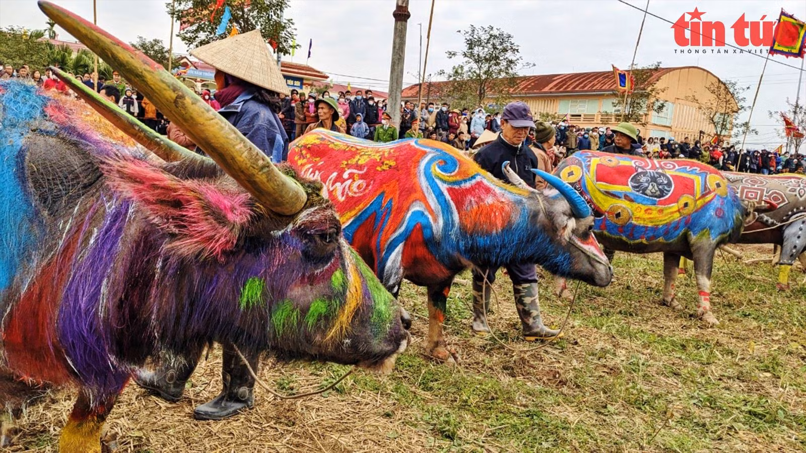 Chú thích ảnh