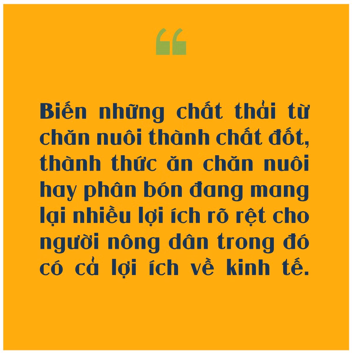 Thay đổi ‘triết lý’ chăn nuôi cùng nông nghiệp tuần hoàn ảnh 4