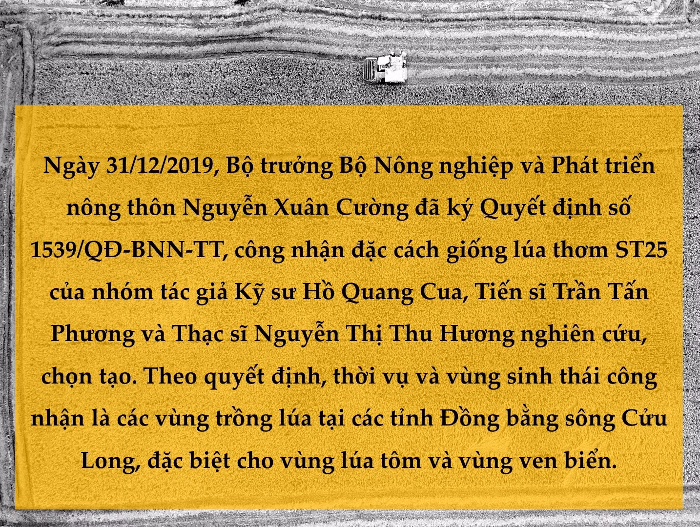 Gạo Việt Nam - 'Hạt vàng' cho cả thế giới ảnh 16