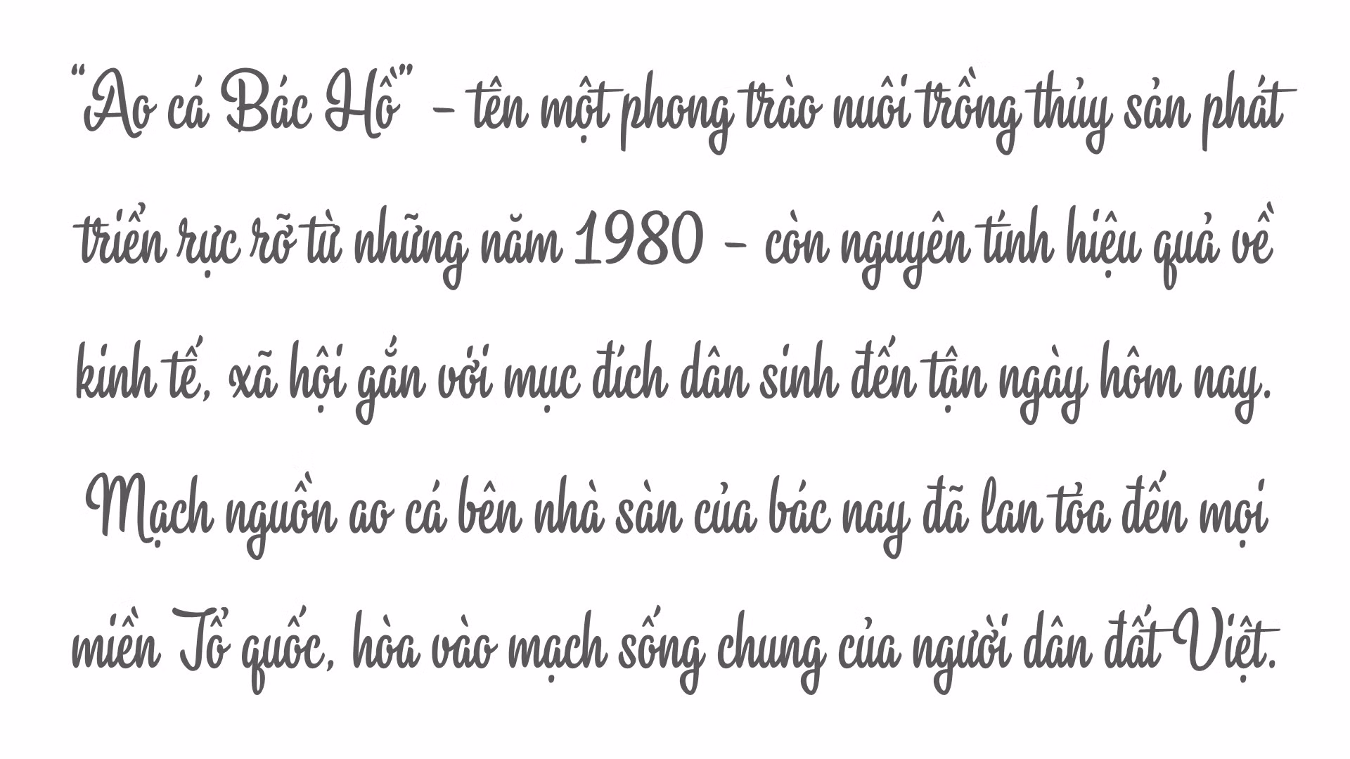 ‘Ao cá Bác Hồ’ - mãi xanh từ mạch nguồn tình Bác ảnh 1