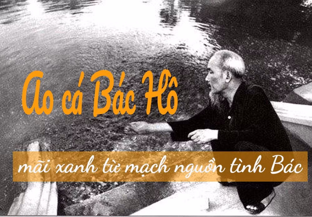 ‘Ao cá Bác Hồ’ - mãi xanh từ mạch nguồn tình Bác