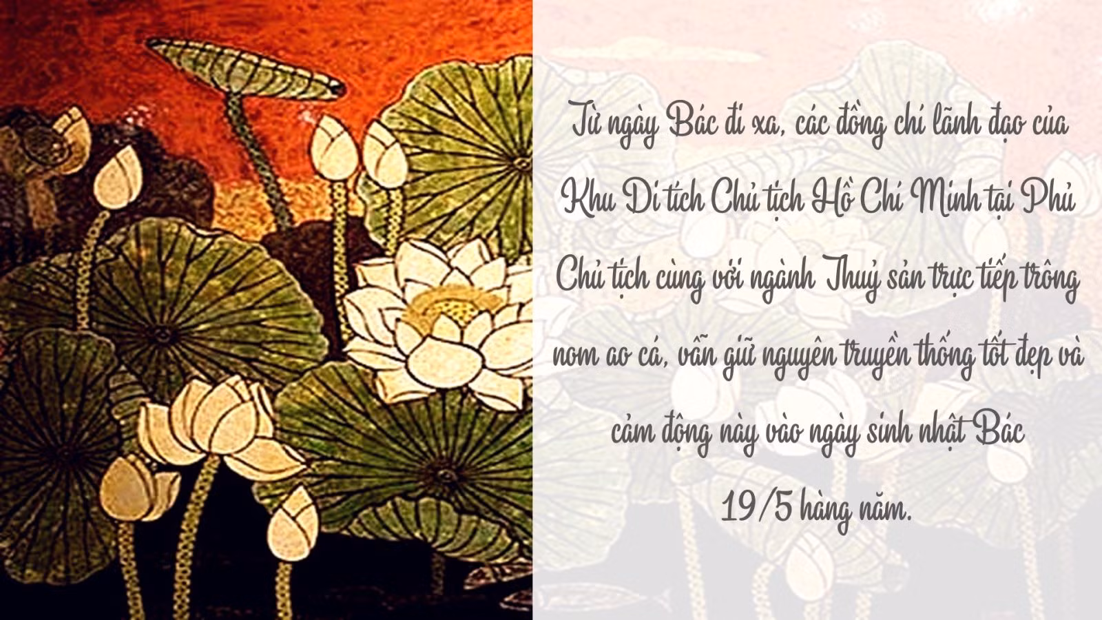 ‘Ao cá Bác Hồ’ - mãi xanh từ mạch nguồn tình Bác ảnh 5