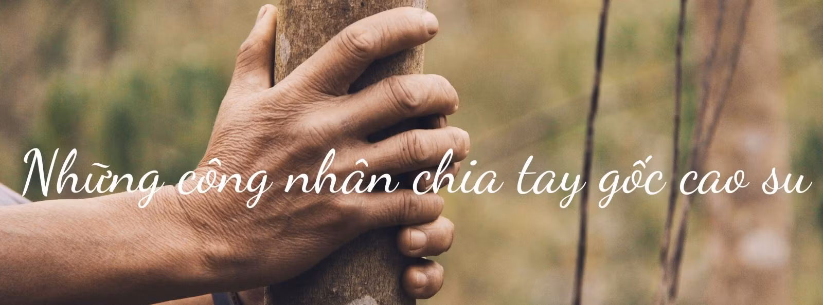 Dân Tây Bắc mỏi mòn chờ dòng 'vàng trắng' ảnh 18