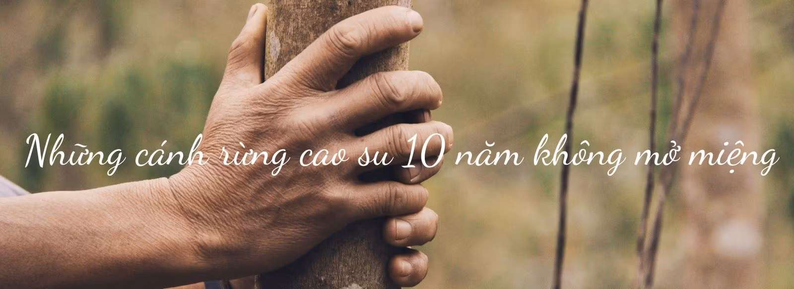 Dân Tây Bắc mỏi mòn chờ dòng 'vàng trắng' ảnh 2