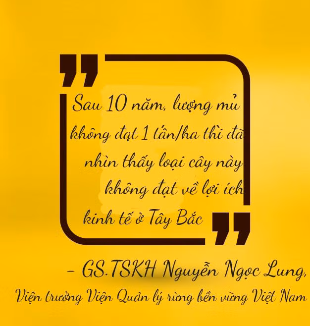 Dân Tây Bắc mỏi mòn chờ dòng 'vàng trắng' ảnh 22