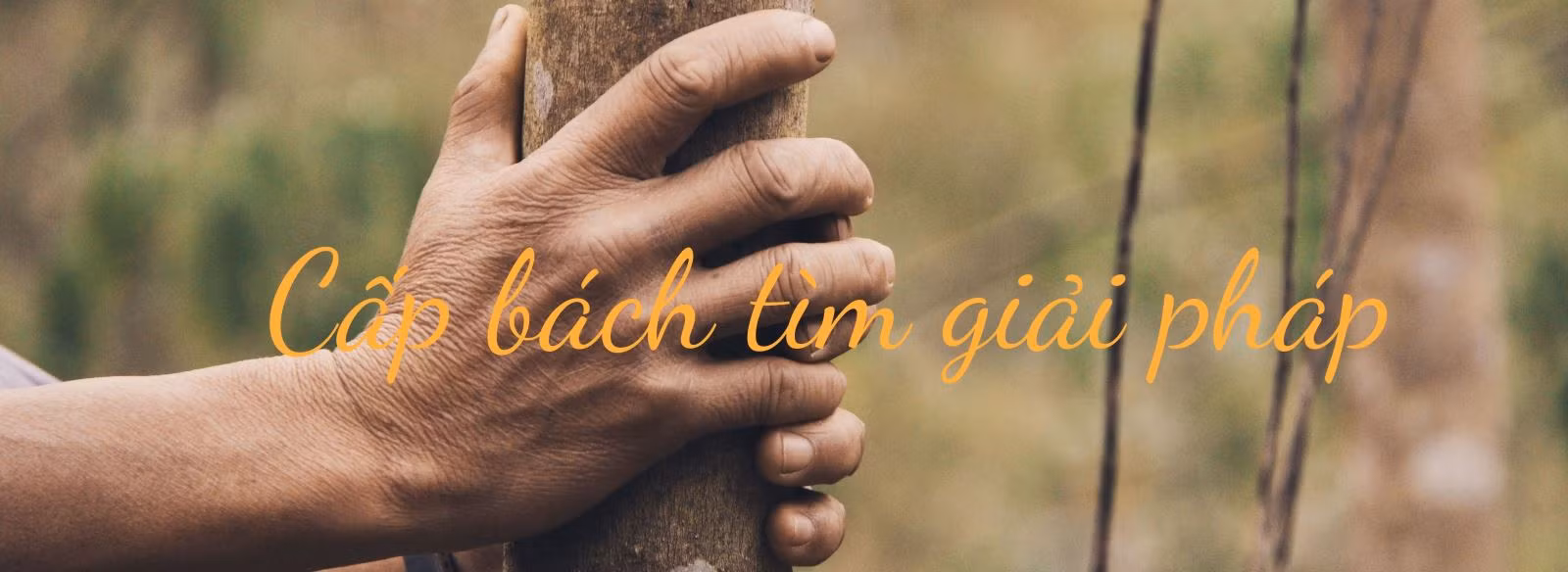 Dân Tây Bắc mỏi mòn chờ dòng 'vàng trắng' ảnh 23