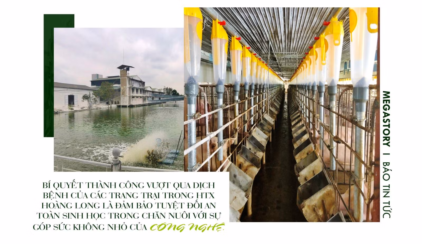 Khi nông dân bắt nhịp với công nghệ ảnh 5