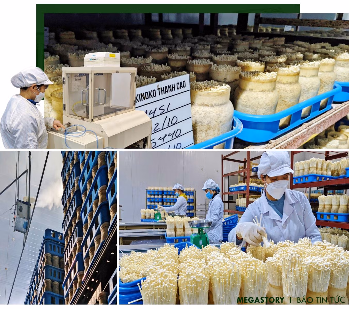 Khi nông dân bắt nhịp với công nghệ ảnh 2