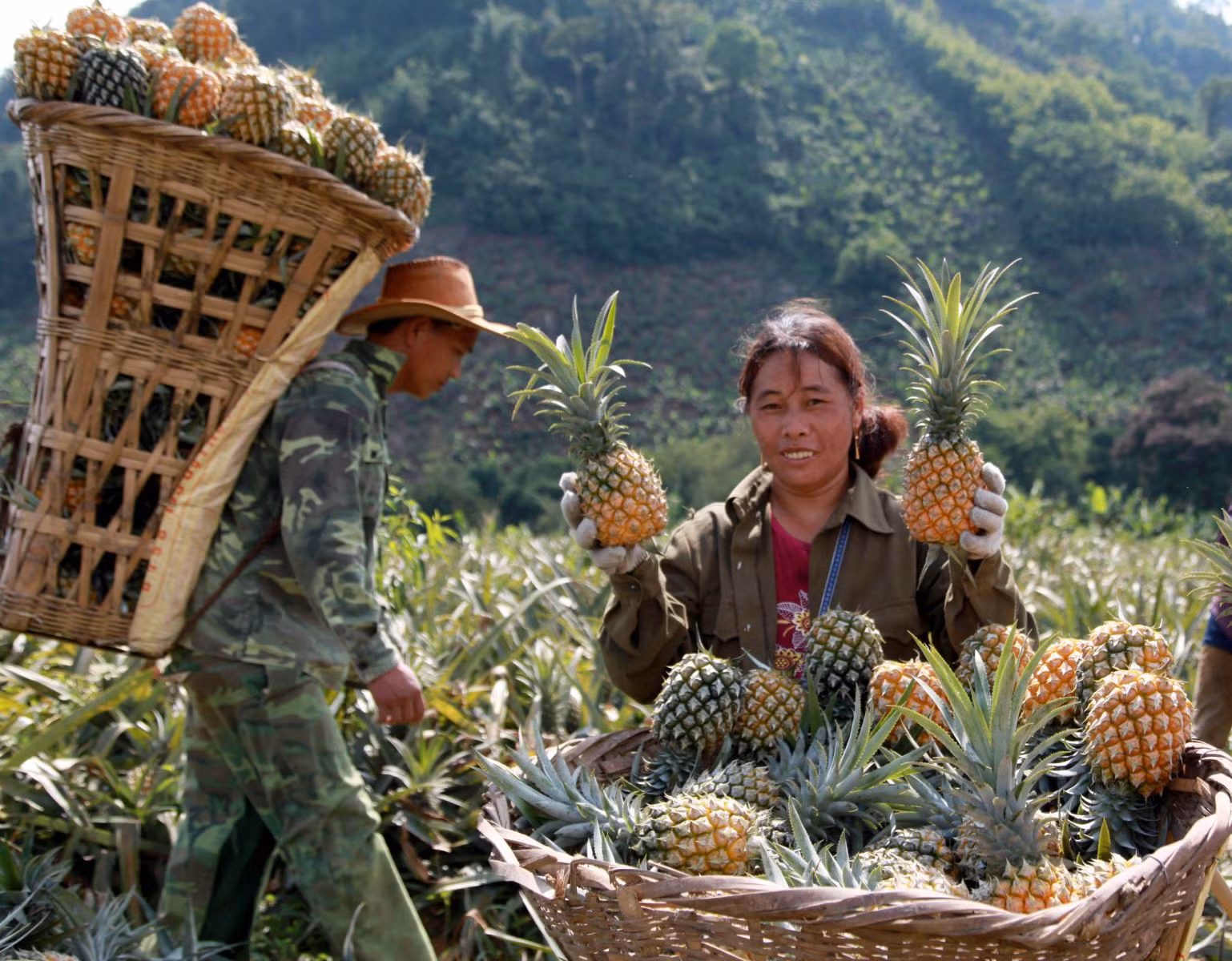 Niềm vui của đồng bào DTTS ở huyện nghèo Si Ma Cai nói riêng, tỉnh Lào Cai nói chung khi được Đảng, Nhà nước quan tâm cho vay vốn, tạo sinh kế bền vững.