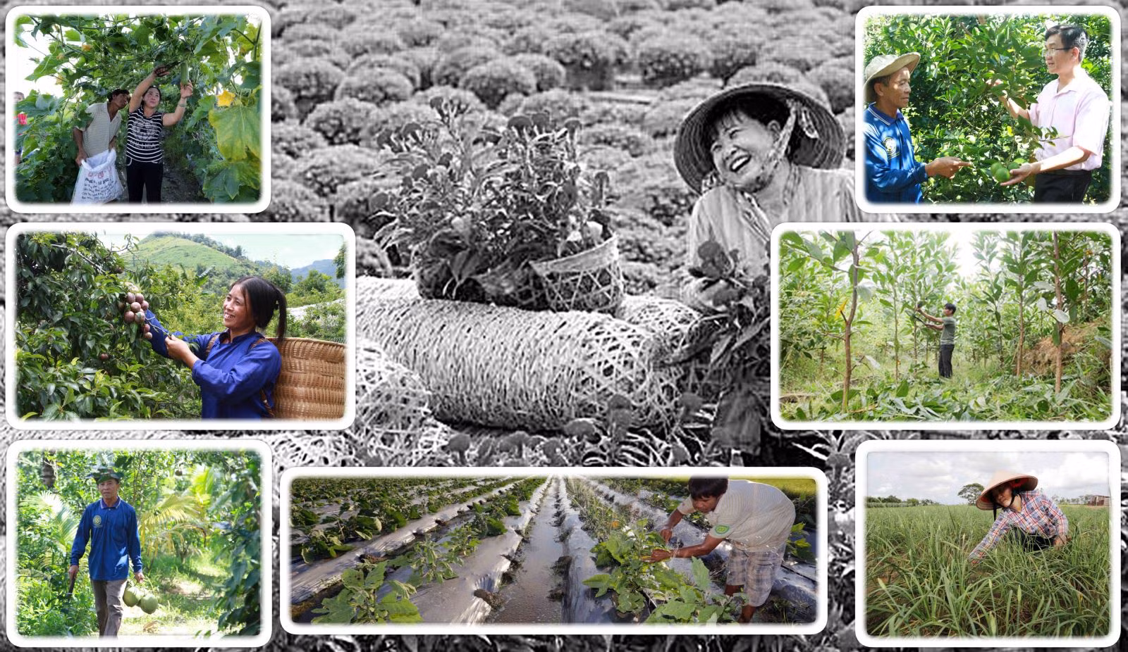 Tín dụng chính sách xã hội có vai trò quan trọng, làm đòn bẩy tài chính trong phát triển kinh tế - xã hội, giảm nghèo tại địa phương.