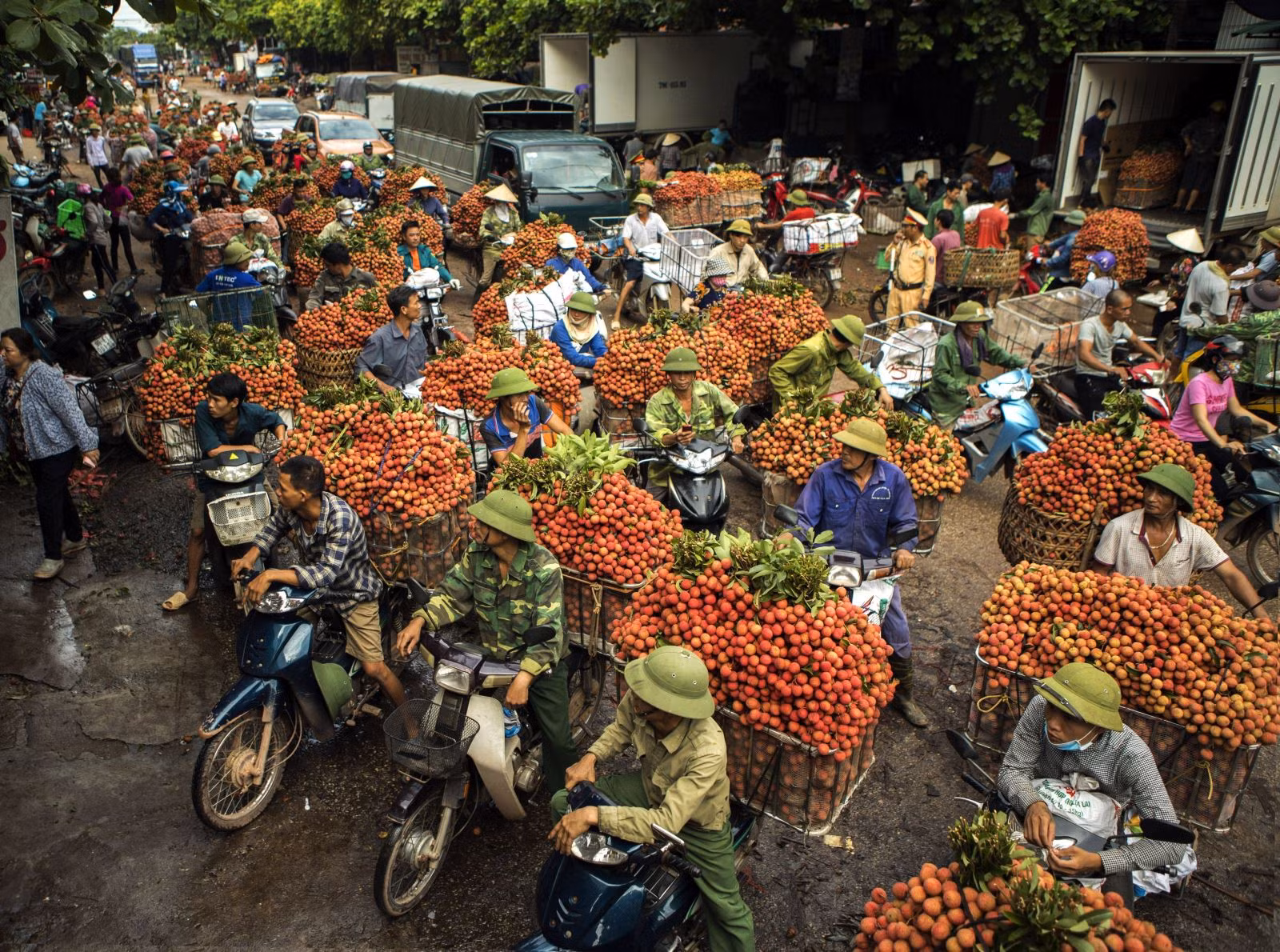 Chú thích ảnh