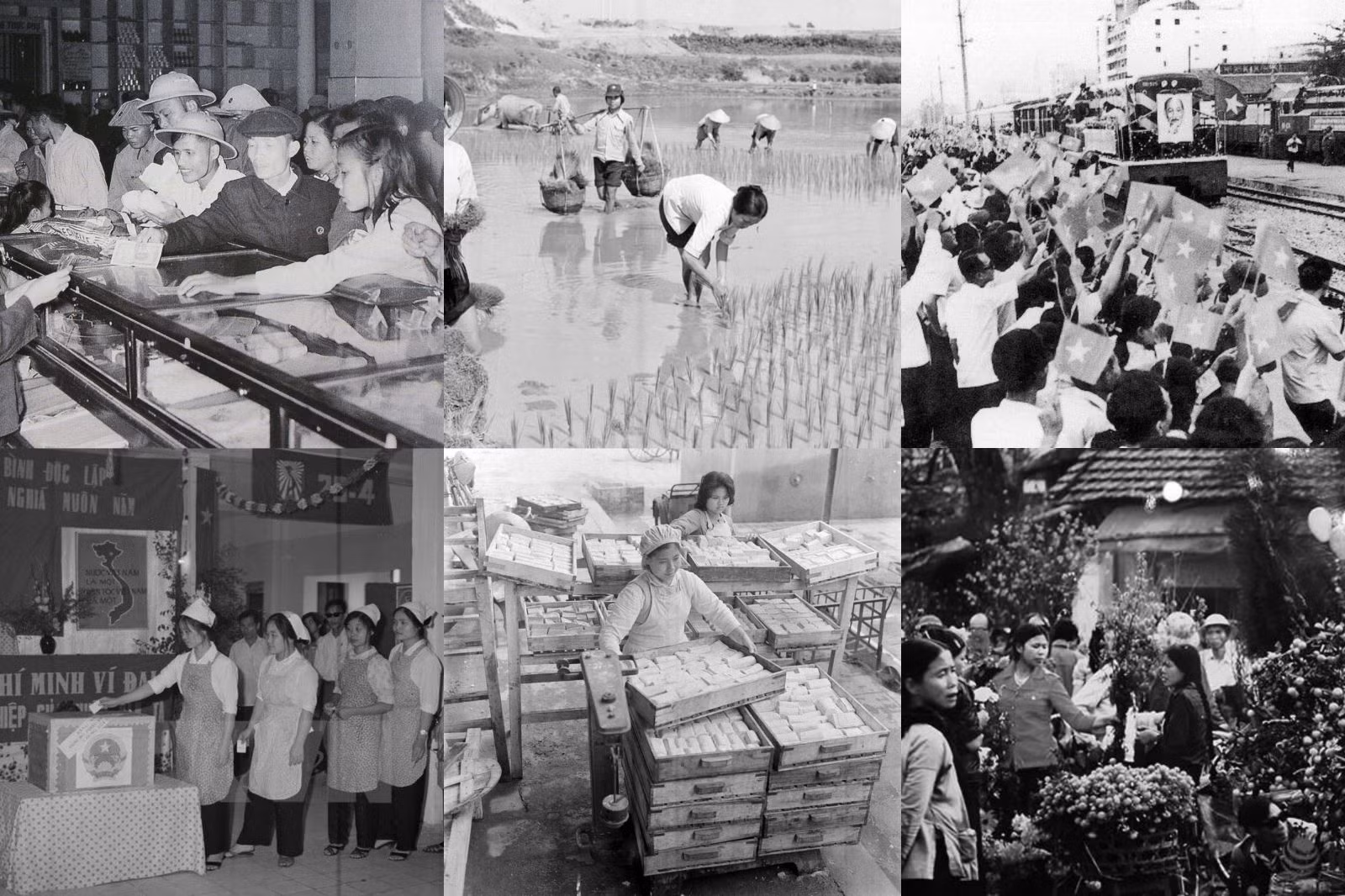 Đổi mới - Đổi đời nhờ Đảng dẫn đường ảnh 3