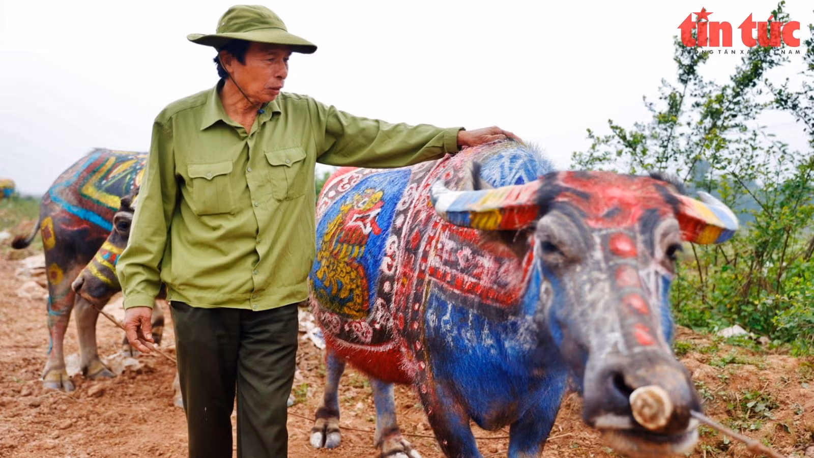 Chú thích ảnh