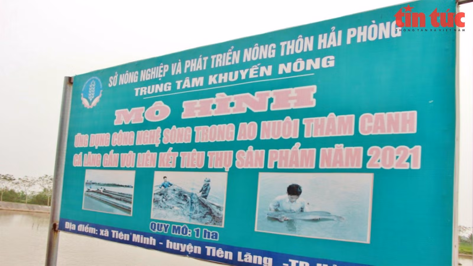 Chú thích ảnh