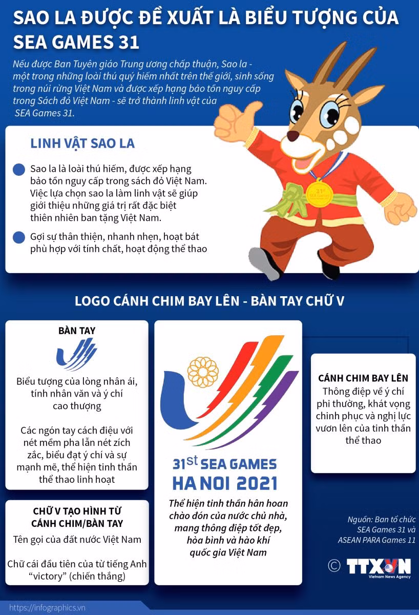 Thể thao Việt Nam đặt mục tiêu tại SEA Games 31 ảnh 16