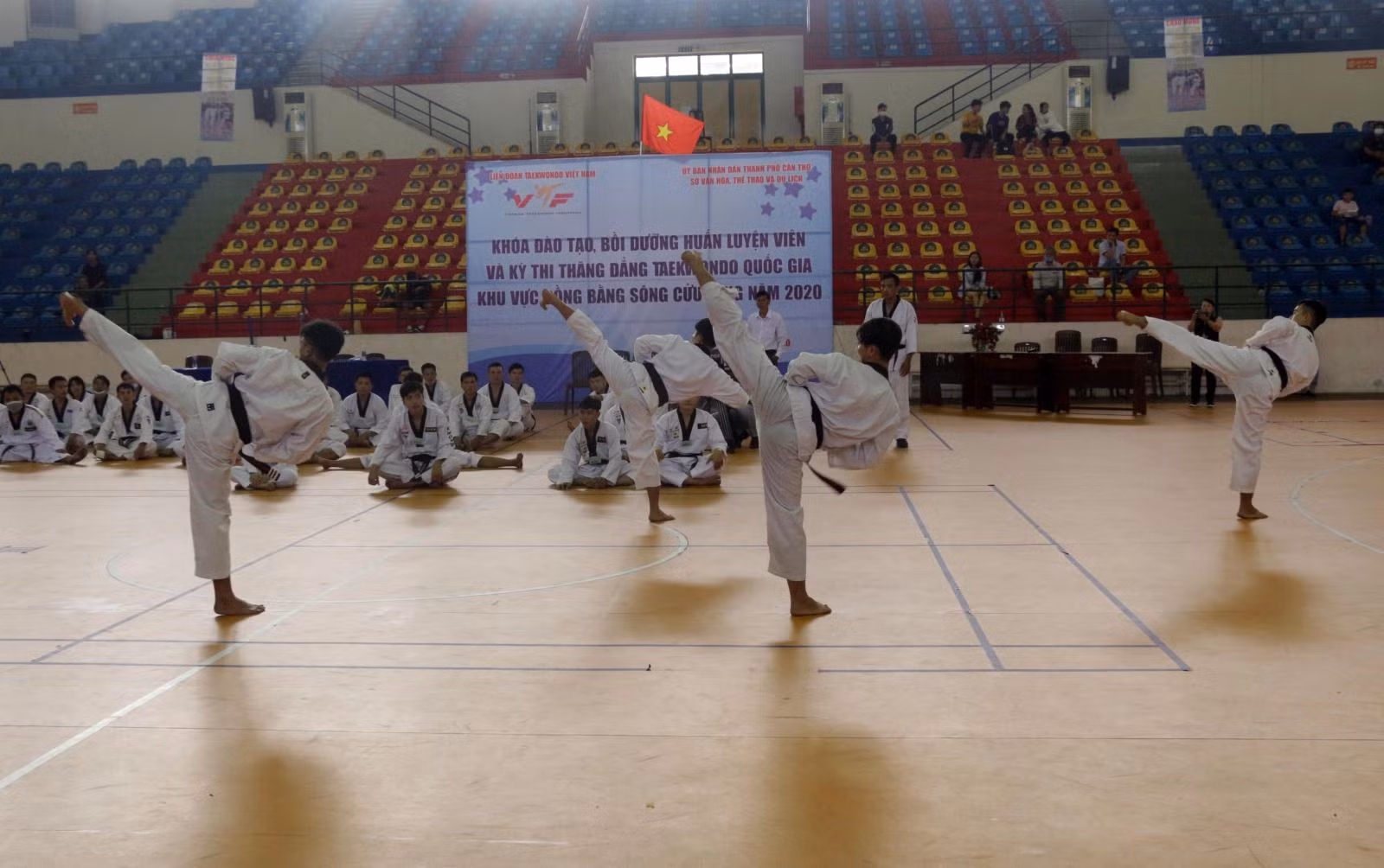 Taekwondo được kỳ vọng sẽ là "mỏ" vàng cho thể thao Việt Nam.