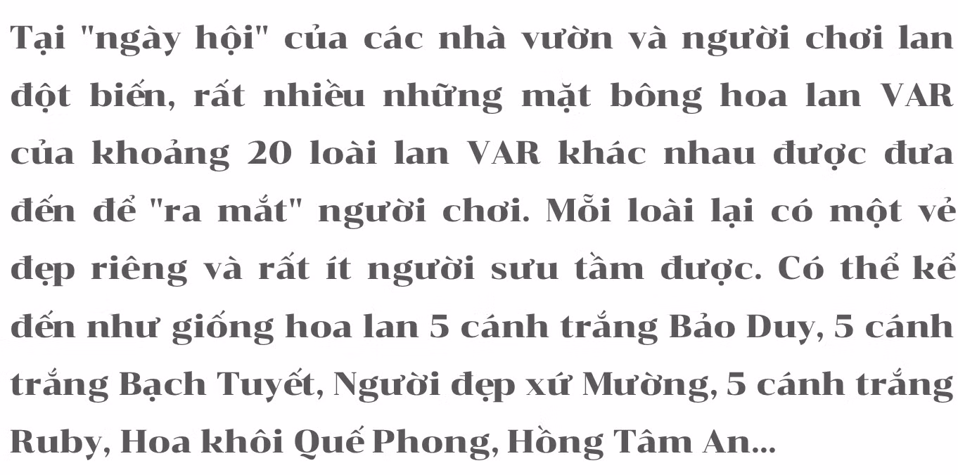 Mục sở thị những mặt hoa lan đột biến khiến thị trường hoa 'điên đảo' ảnh 2